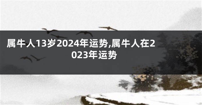 属牛人13岁2024年运势,属牛人在2023年运势