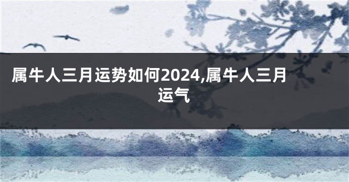 属牛人三月运势如何2024,属牛人三月运气