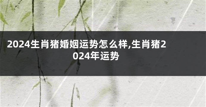 2024生肖猪婚姻运势怎么样,生肖猪2024年运势