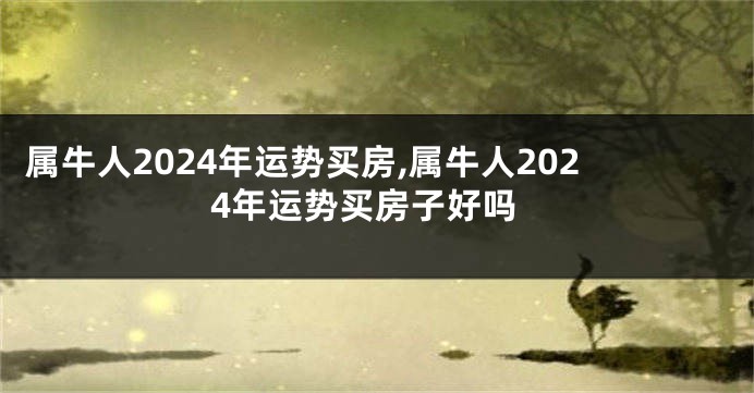 属牛人2024年运势买房,属牛人2024年运势买房子好吗