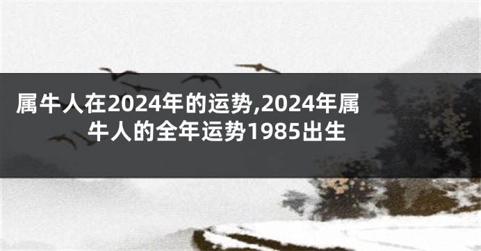 属牛人在2024年的运势,2024年属牛人的全年运势1985出生