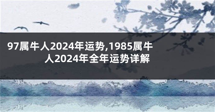 97属牛人2024年运势,1985属牛人2024年全年运势详解