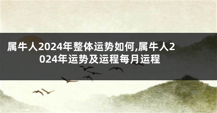 属牛人2024年整体运势如何,属牛人2024年运势及运程每月运程