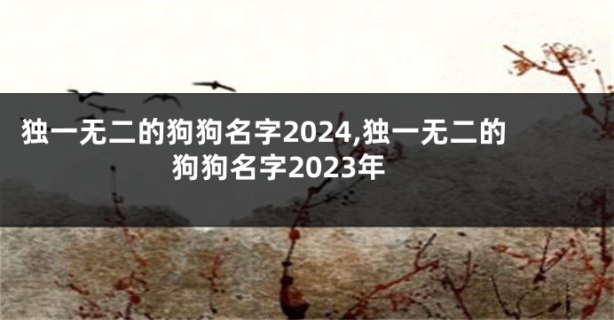 独一无二的狗狗名字2024,独一无二的狗狗名字2023年