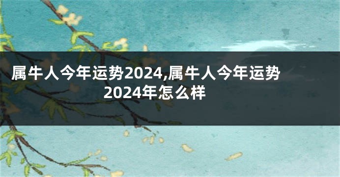 属牛人今年运势2024,属牛人今年运势2024年怎么样