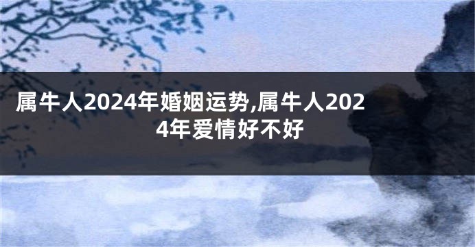 属牛人2024年婚姻运势,属牛人2024年爱情好不好