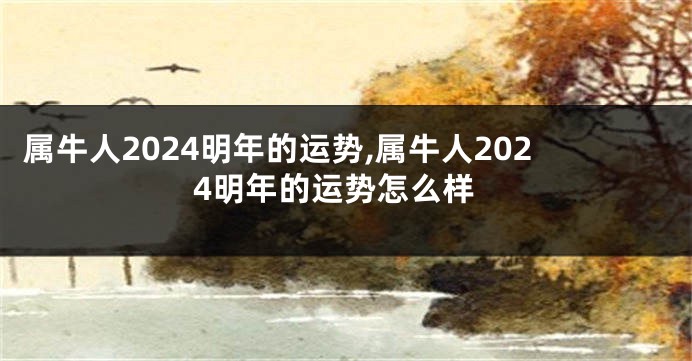 属牛人2024明年的运势,属牛人2024明年的运势怎么样