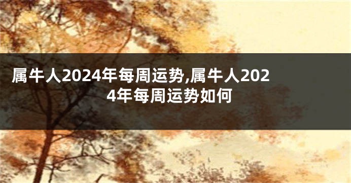 属牛人2024年每周运势,属牛人2024年每周运势如何