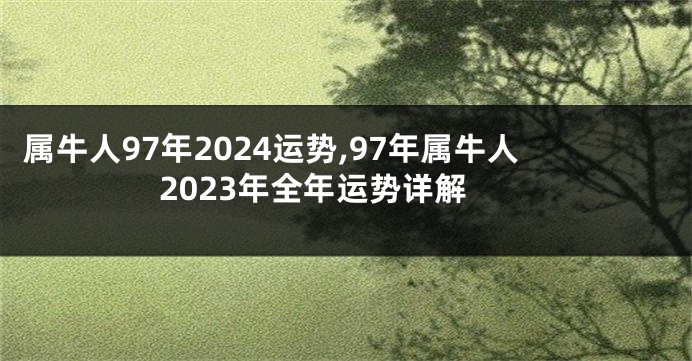 属牛人97年2024运势,97年属牛人2023年全年运势详解