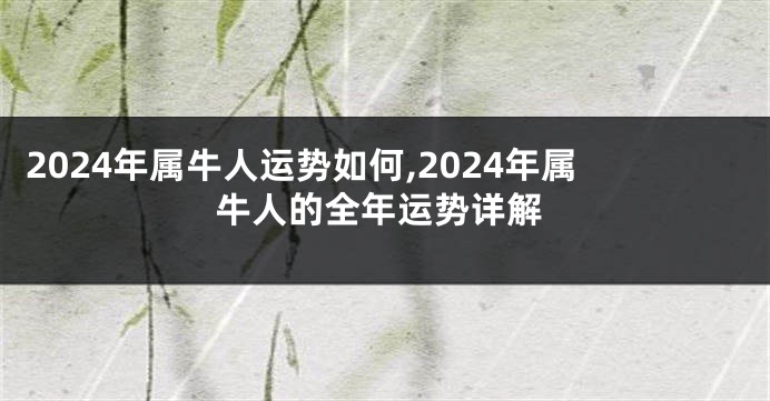 2024年属牛人运势如何,2024年属牛人的全年运势详解