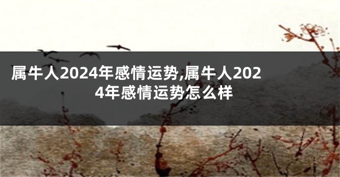 属牛人2024年感情运势,属牛人2024年感情运势怎么样