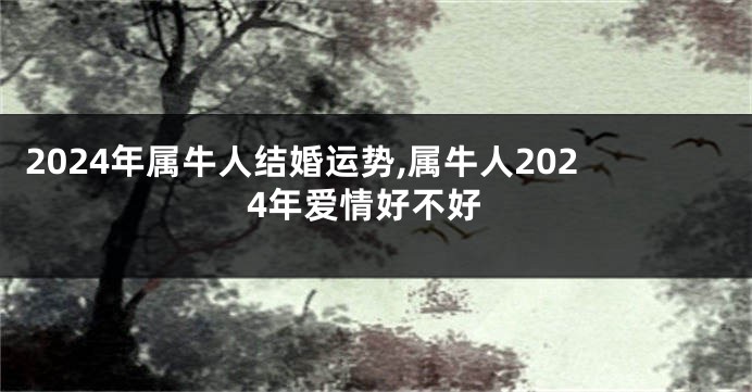 2024年属牛人结婚运势,属牛人2024年爱情好不好