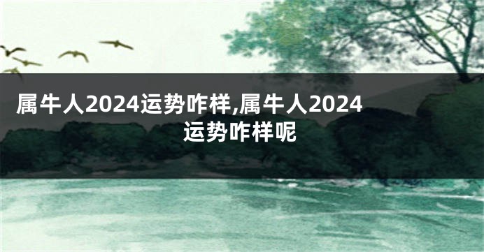 属牛人2024运势咋样,属牛人2024运势咋样呢