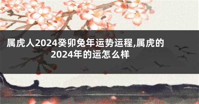 属虎人2024癸卯兔年运势运程,属虎的2024年的运怎么样