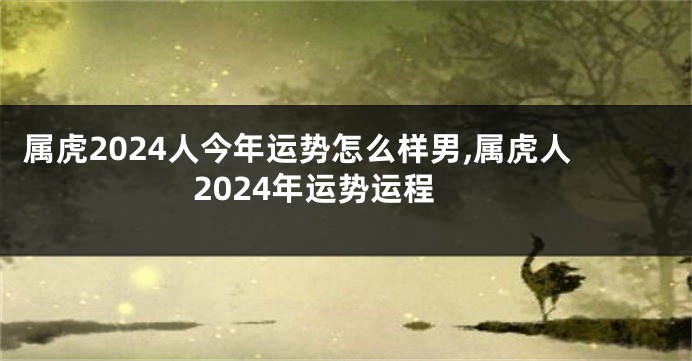 属虎2024人今年运势怎么样男,属虎人2024年运势运程