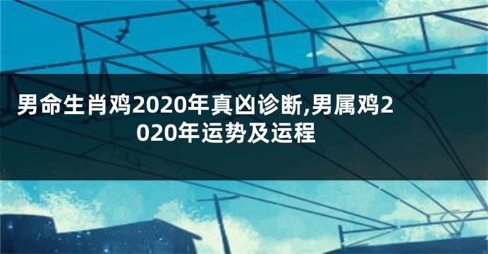 男命生肖鸡2020年真凶诊断,男属鸡2020年运势及运程