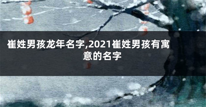 崔姓男孩龙年名字,2021崔姓男孩有寓意的名字