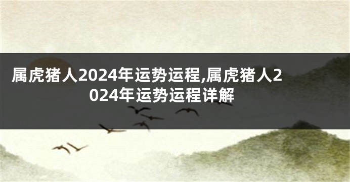 属虎猪人2024年运势运程,属虎猪人2024年运势运程详解