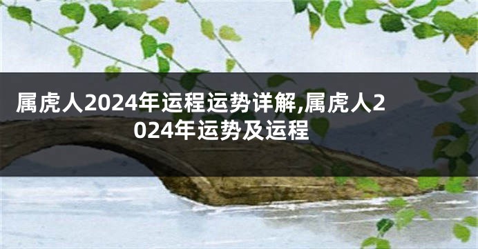 属虎人2024年运程运势详解,属虎人2024年运势及运程