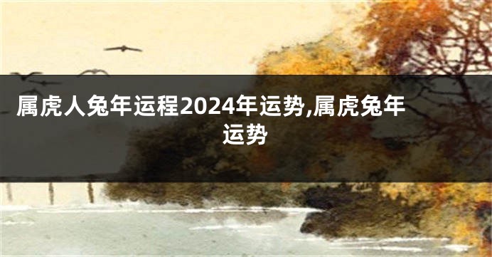 属虎人兔年运程2024年运势,属虎兔年运势