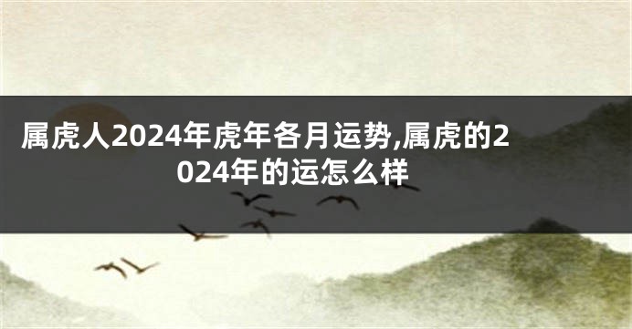 属虎人2024年虎年各月运势,属虎的2024年的运怎么样