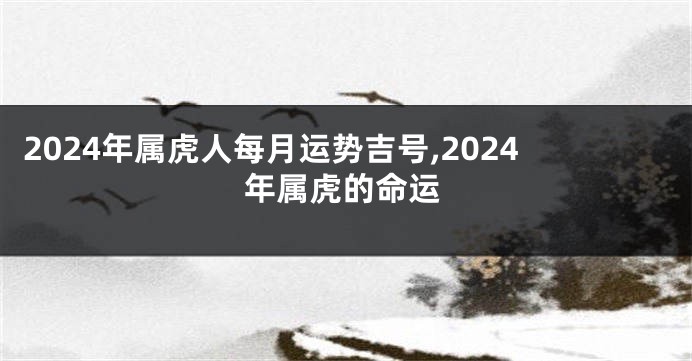 2024年属虎人每月运势吉号,2024年属虎的命运