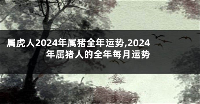 属虎人2024年属猪全年运势,2024年属猪人的全年每月运势