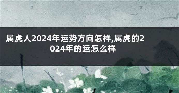 属虎人2024年运势方向怎样,属虎的2024年的运怎么样