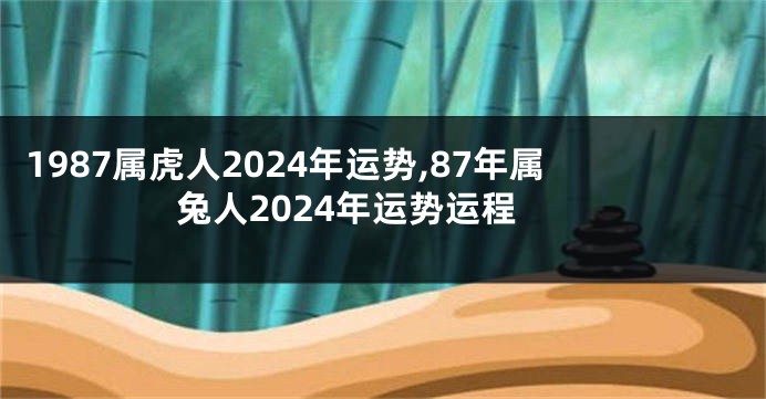 1987属虎人2024年运势,87年属兔人2024年运势运程