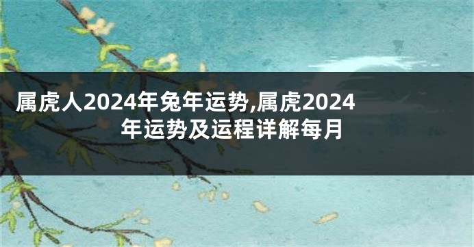 属虎人2024年兔年运势,属虎2024年运势及运程详解每月