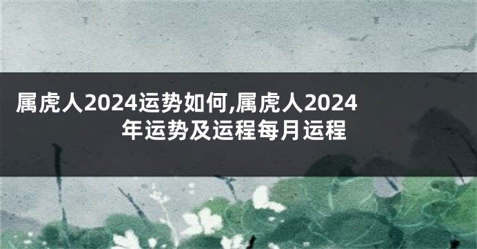 属虎人2024运势如何,属虎人2024年运势及运程每月运程