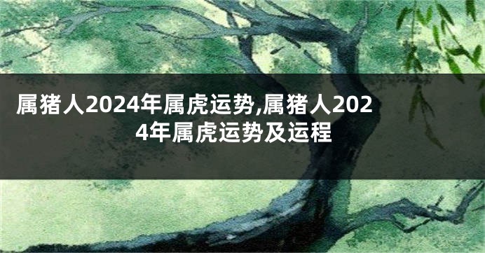 属猪人2024年属虎运势,属猪人2024年属虎运势及运程