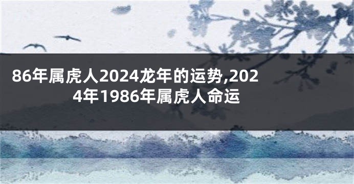 86年属虎人2024龙年的运势,2024年1986年属虎人命运