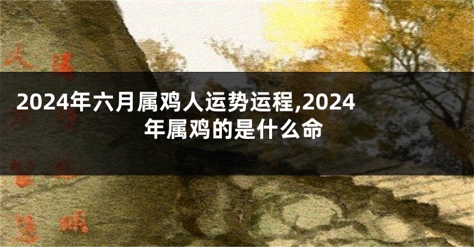 2024年六月属鸡人运势运程,2024年属鸡的是什么命