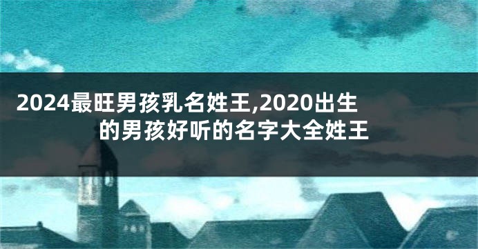 2024最旺男孩乳名姓王,2020出生的男孩好听的名字大全姓王