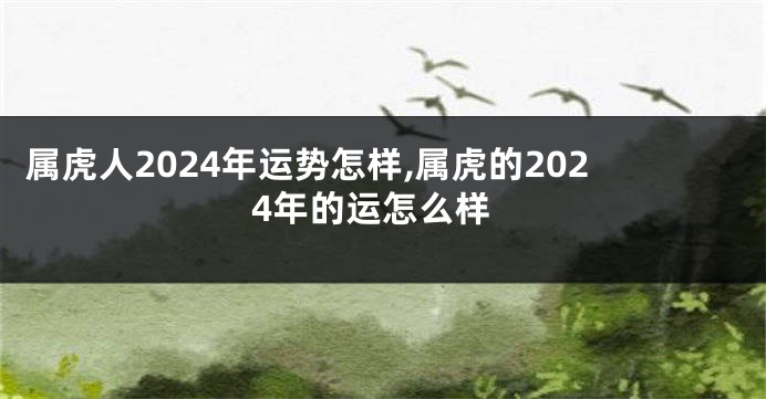 属虎人2024年运势怎样,属虎的2024年的运怎么样