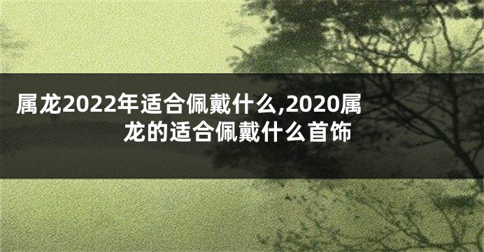 属龙2022年适合佩戴什么,2020属龙的适合佩戴什么首饰