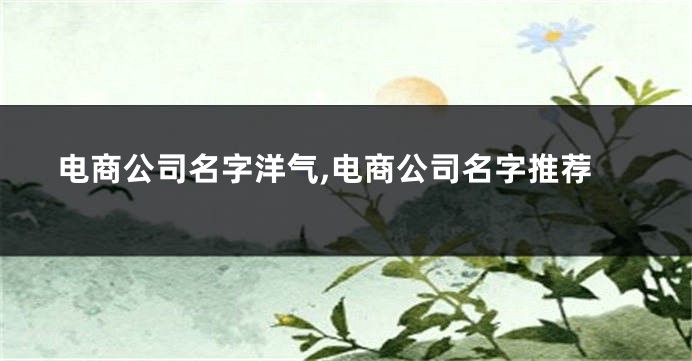 电商公司名字洋气,电商公司名字推荐