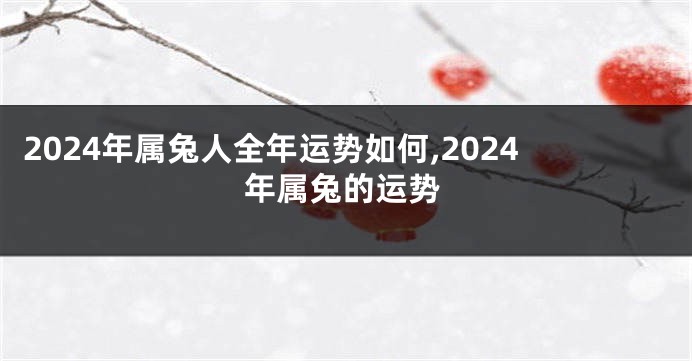 2024年属兔人全年运势如何,2024年属兔的运势