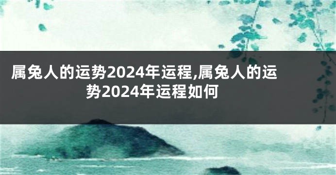 属兔人的运势2024年运程,属兔人的运势2024年运程如何