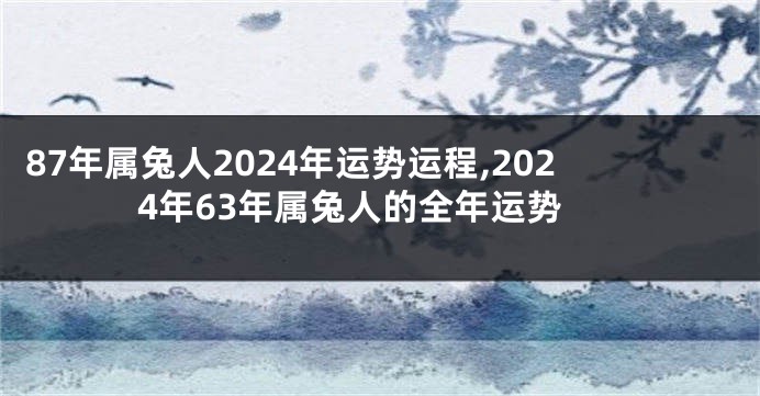 87年属兔人2024年运势运程,2024年63年属兔人的全年运势