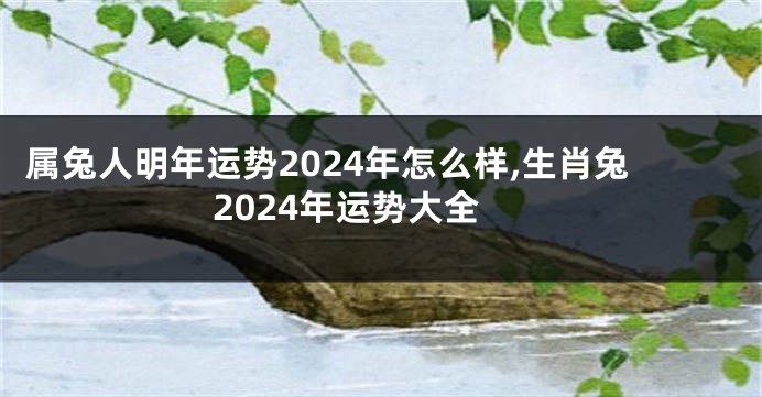 属兔人明年运势2024年怎么样,生肖兔2024年运势大全