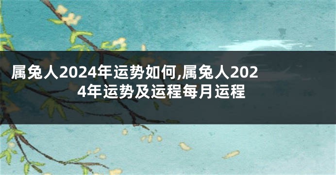 属兔人2024年运势如何,属兔人2024年运势及运程每月运程