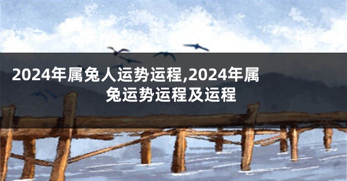 2024年属兔人运势运程,2024年属兔运势运程及运程