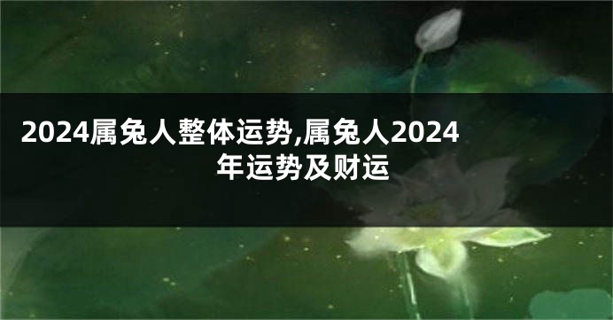 2024属兔人整体运势,属兔人2024年运势及财运