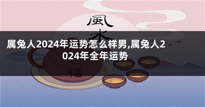 属兔人2024年运势怎么样男,属兔人2024年全年运势