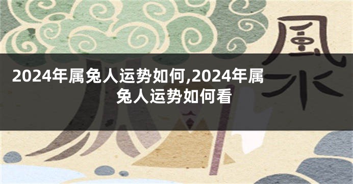 2024年属兔人运势如何,2024年属兔人运势如何看