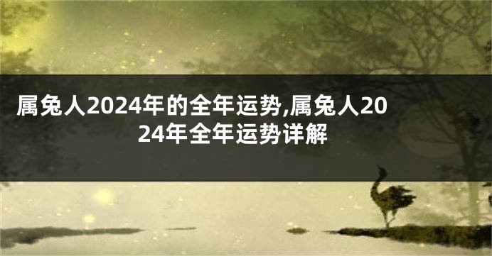 属兔人2024年的全年运势,属兔人2024年全年运势详解