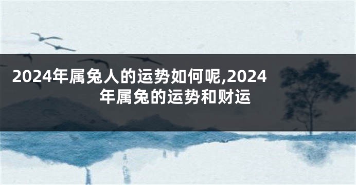 2024年属兔人的运势如何呢,2024年属兔的运势和财运