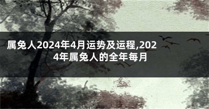 属兔人2024年4月运势及运程,2024年属兔人的全年每月